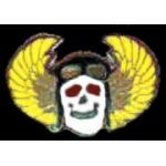 FLYING SKULL JUMP WINGS PIN